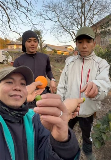Taste Test and House Tour in Japan