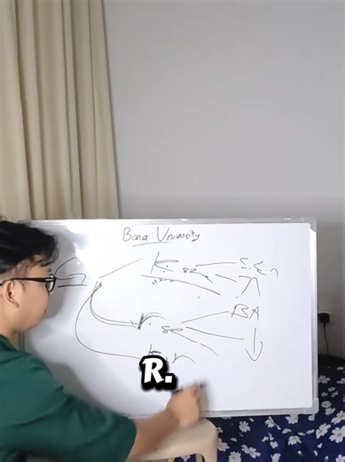 Understanding Natural Selection and Its Impact on Society