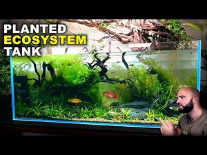 Aquascape Tutorial: EPIC 4ft NO WATER CHANGE Ecosystem Aquarium (How To: Step By Step Guide)