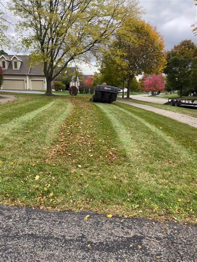 Fall clean ups🍂🍁 | Brewers Outdoor Services