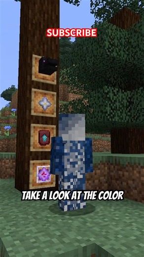 What do the text colors mean in Minecraft? #minecraft #minecraftguide #minecrafteducation