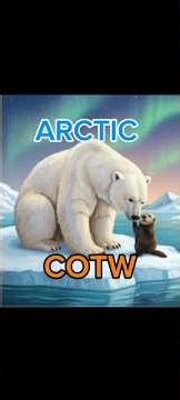 The Hunter COTW map concept (Arctic) 🐻‍❄️🥶