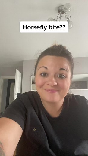 Identifying a Horse Fly Bite: Symptoms and Treatment