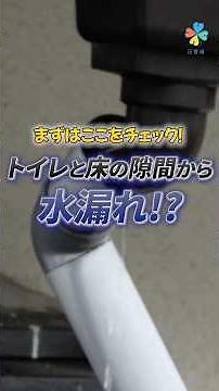 なぜ⁉️トイレの床が濡れてる…意外な原因4選と正しい対処法 【公益法人が教えるシリーズ】 #トイレ水漏れ #賃貸トラブル #水漏れ #NG行動 #賃貸 #住宅 #管理会社 #shorts