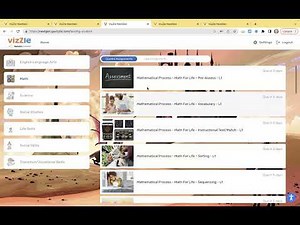 Student and Teacher Settings in Vizzle