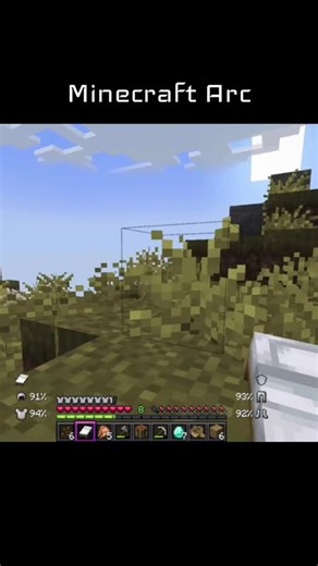 Just met Beyoncé guys #minecraft