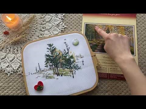 Все мои вышивальные процессы || Овен, Дименшенс, Марья Искусница и другие