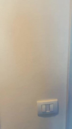 #dog#shiba #puppies #doglover