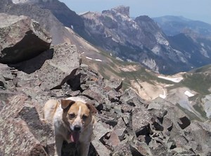 18K views · 457 reactions | What a place to celebrate on this Earth...