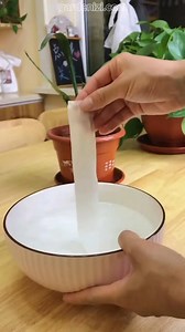 12K views · 48 reactions | ✨ Plant Care Tip! A simple trick to keep your plants healthy, thriving, and full of life. Perfect for plant parents and gardeners who want to see stronger growth and brighter blooms.  Don’t forget to Like  & follow for more plant care hacks and gardening inspiration! #gardenizi #PlantCare #GardeningTips #HealthyPlants | Seed to Flower | Facebook