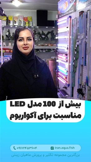 ‎فروش عمده ماهی آکواریومی|بزرگترین مرکز تکثیر ماهی زینتی در ایران‎ on Instagram‎: "✨ جادوی نور در آکواریوم شما! بیش از ۱۲۰ مدل نور LED تخصصی برای همه سبک‌ها؛ از ریف تا گیاهی. رشد بهتر، رنگ‌های واقعی‌تر و آکواریومی زیباتر از همیشه… وقتشه تانک‌تون رو حرفه‌ای نورپردازی کنید! 🌿🐠💡 --- #نور_آکواریوم #نور_LED #ال‌ای‌دی_آکواریومی #آکواریوم_گیاهی #ریف_تانک #آکواریوم_آب_شیرین #آکواریوم_آب_شور #گیاه_آکواریومی #نورپردازی_آکواریوم #تجهیزات_آکواریوم #نور_گیاهی #نور_ریف #آکواریوم_لوکس #اکواریوم_خانگی #اکوار