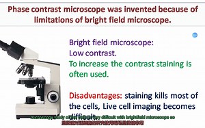 phase contrast microscope相差显微镜