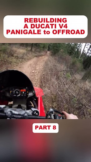 Tips For Survival on TikTok