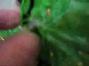 Xbox 360 Halo 3 Special Edition Console Unboxing