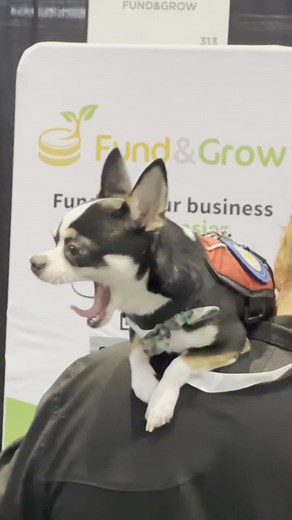 14 reactions | The Art of Networking: Building Bridges in Business 欄 | Fund&Grow | Facebook