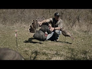 Spring Turkey Hunting Decoys | #1 Turkey Decoy for Spring