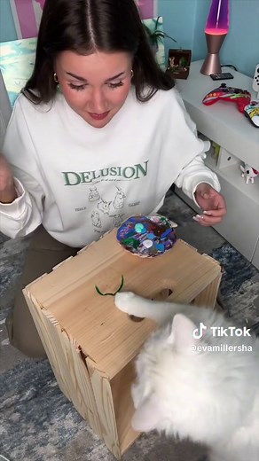 This is ur sign to get a bikini box!🪸🐠#bikini #box #swimsuit #art #painting #drawing #diy #diyproject #summervibes