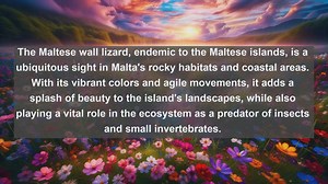 Exploring Maltas Wildlife Treasures: Top 10 Native Animals in the Mediterranean Gem