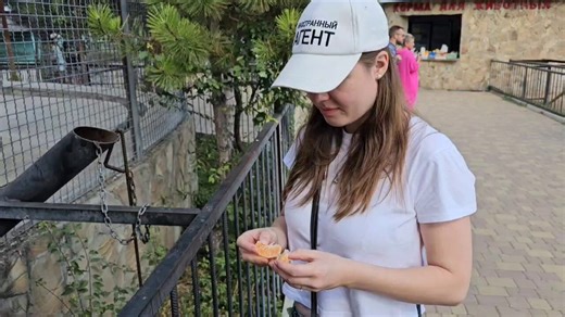Russische Bären essen gerne Mandarinen! 😄Zoo auf der Krim