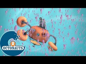 Octonauts - L'essaim | Dessins animés pour enfants
