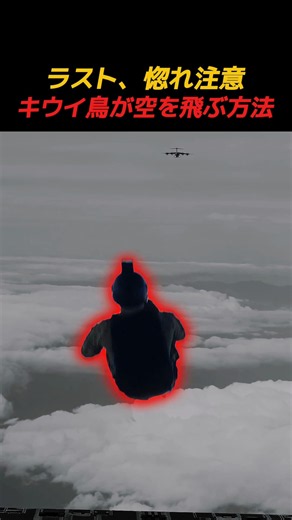 ラスト、惚れ注意キウイ鳥が空を飛ぶ方法