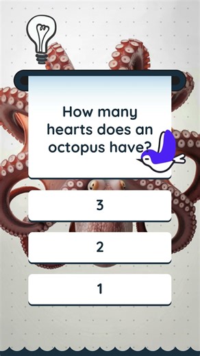 How Many Hearts Does an Octopus Have? 🐙 #shorts