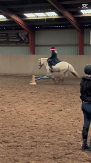 Bedste spring hest 💕tusind tak for lån Nadia ❄️🌟