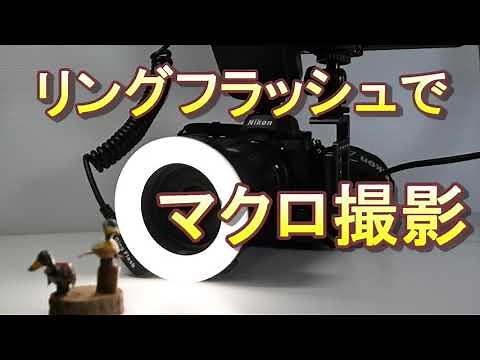 リングフラッシュでマクロ撮影（Eng Sub）