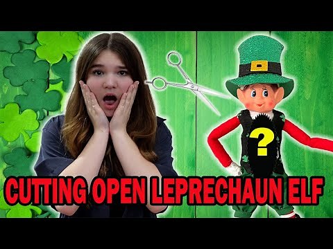 What's Inside The Leprechaun Elf On The Shelf!