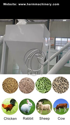 Revolutionize Your Feed Mill with Our 3-4T/H Automated Production Line | Smart & Efficient Solution!