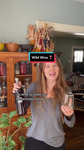 Tasting Wild Grape Wine - Sustainable Living and Foraging Tips!