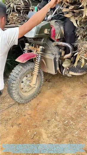 Bamboo Overload: The Precise Physics of Rural Hauling