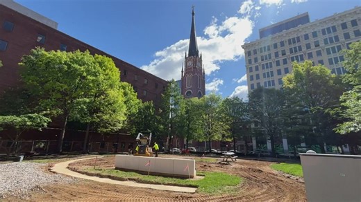Louisville's first microforest project under construction in downtown