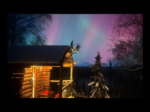 3 widow makers part 1 #alaska #trees #widowmaker