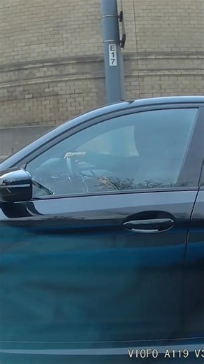 Driver using a mobile phone while driving