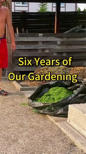 Effective Vegetable Bed Mulching for Healthy Gardens