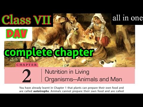 Nutrition in living organisms - Animals and Man Class 7 Science Chapter-2 DAV PUBLIC SCHOOLS