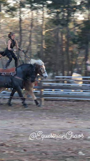 A day in the life of a shield maiden... Loki 's Roman riding debut ❤️🐎🤘 #EquestrianChaos #RomanRiding #texas | Equestrian Chaos