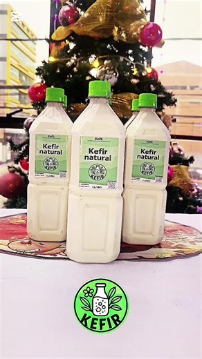 Kéfir: El oro blanco de la nutrición en Bolivia