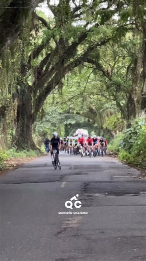 Quindío ciclismo🇨🇴 on Instagram: "Algo diferente para que mencionen y etiqueten a sus amigos de rodada y que siempre sigan disfrutando de este lindo deporte 🫣 Compartan !!!!"