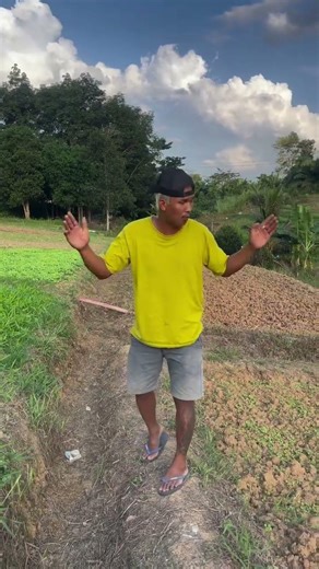 JAVA FRIENDS TURN CRITICAL LAND INTO PRODUCTIVE LAND