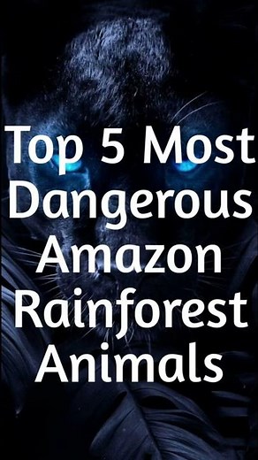 Top 5 Most Dangerous Amazon Rainforest Animals | Top 5 in 15 sec