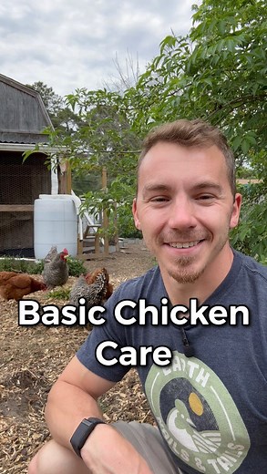Chicken Care 101! Here is a simple guide on how we care for our chickens. And @eatonpetandpasture s amazing product lineup certainly helps! . . . #eatonway #chickens #happychickens #backyardchickens #raisingchickens #petchickens #chickensofinsta #chickencare #hemp #chickenbedding #hempbedding | Earth, Nails & Tails