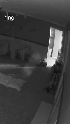 A preschool owner says they’ve been haunted by a mischievous little ghost. 👻 After years of books appearing in the middle of the room and random motion alerts, “I know when my ghostly guest is back—and it was making itself right at home!” | Ring