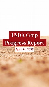 The 2025 planting season has officially begun in 11 top corn-growing states, according to the latest USDA Crop Progress report. Here are the latest numbers from the agency! 🌽 #farmlife #news #corn | Successful Farming