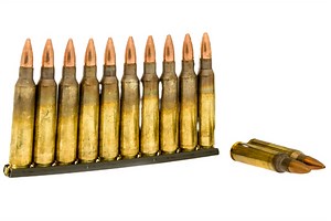 The Best Grain for 5.56 - Survival Freedom