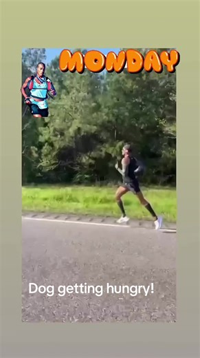 Dog getting hungry!#belegendary