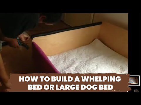 How to Build a Whelping Bed or Large Dog Bed