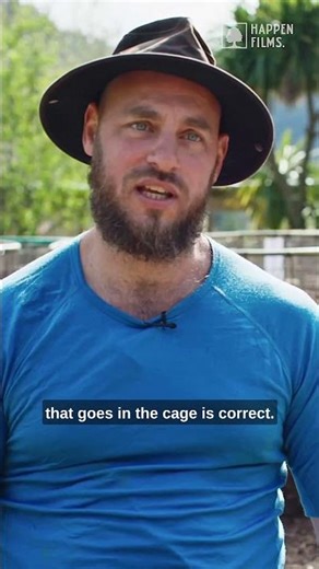 From Food Waste to Beautiful Compost (A Clip from 'Ben & bEartha')