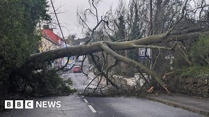 Storm Kathleen brings trees down and power outages